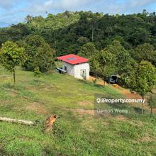 Durian orchard for sale in Dong, Raub