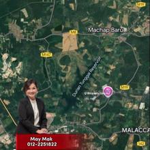 Freehold Main Road First Layer Machap Alor Gajah Nice Land for Sale