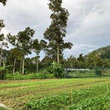 Broga land for sale 