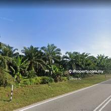 Agriculture land ( Zoning Industry) for Sale