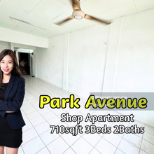 Park Avenue Shop Apartment