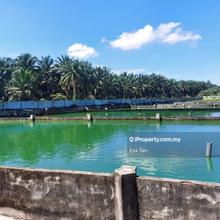 Residential land for Sale
