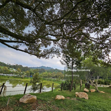 Hulu Langat Sungai Makau Agriculture Land For Sale