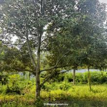 Cheapest Spacious 3 Acres Agricultural Land Tangkak, Johor