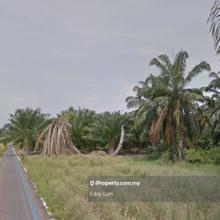 Agriculture land for Sale