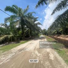 Value Buy Sri Cheeding Jenjarom residential zoning land freehold sale