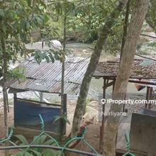 Freehold Agricultural Land For Sale at Janda Baik Bentong Pahang