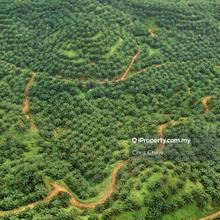 Agriculture land for Sale