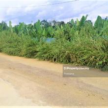2 Acres Banana Plantation Land @ Pekan Karangan, Kulim