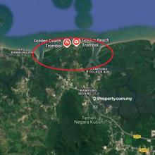 Trombol Golden Beach For sale 