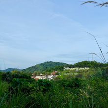 Land at Balik Pulau Hill For Sale