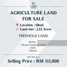 Agriculture Land at Kampung Angus
