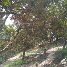 Jelebu Agriculture Land For Sale