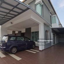 Aster, Seri Austin 