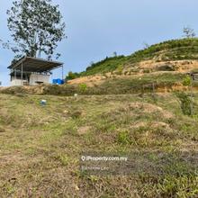 Agriculture land for Sale