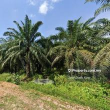 12.45 acres Roadside Land for sale @ Bukit Selambau 