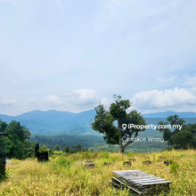 Scenic High Hill Agri Land with Nice View