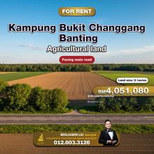 Banting, Kampung Bukit Changgang Agricultural land For Sale