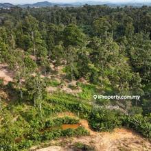 4.544 acres Karak Kolej Komuniti Bentong Matured Durian Land For Sale