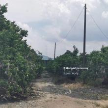 Mantin Pajam Nilai Seremban Agriculture Land For Sale
