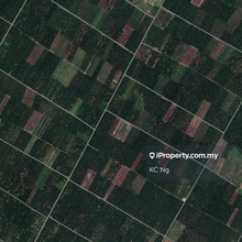 Tanjung Duabelas, @Banting, Kuala Langat Agricultural Land For Sale..