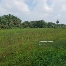 Sepang Dengkil 5.42 acres agricultural land for sale. Strategic loc.