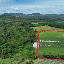 Agri Land for Sale!