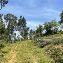 Agriculture land for Sale