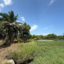 Pekan nanas pontian jeram bau agriculture land for sale