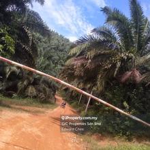 Oil Palm Land 11,280 Acres -Ulu Nenggiri Gua Musang Kelantan