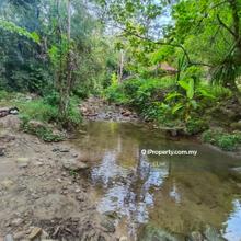 Pekan Semeling Agriculture Land For Sale Sungai Petani