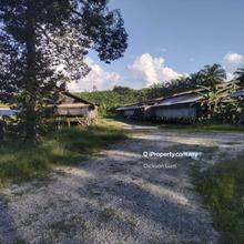 5.35 Acres (Triang) Agricultural land For Sale