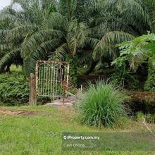 Agriculture Land for Sale 