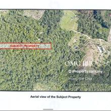 52acre Agricultural Land Bentong Main Area Easy Convert Commersial