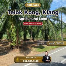 Telok Kong, Klang Agricultural Land For Sale