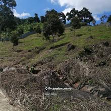 Sungai Repas, Bentong @ Durian Farm For Sale