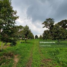 Agriculture Land for Sale At Semangar, Kota Tinggi, Johor