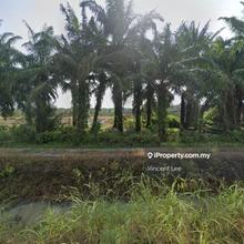 Aquaculture Land for Rent in Bagan Serai Perak