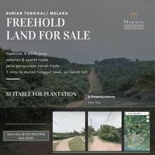 Agriculture land At Durian Tunggal Melaka.