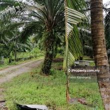 Bandar Parklands Ayer Hitam Klang 4.57 Acres Industrial Land