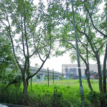 Rent Commercial Land at Jinjang Utara KL