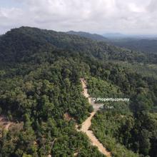 Lumut 15 Acres Besides Beach Commercial Land For Sales