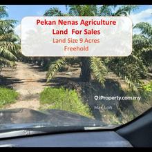 Pekan  Nenas, Pontian, Agriculture Land