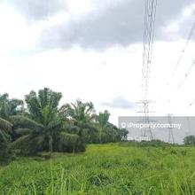 Sungai Lalang Land for Sale, Agricultural Land, Jalan Hi-Tech Semenyih