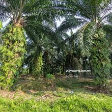 Land zoning industrial