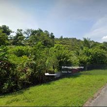 Agricultural Land For Sale In Ulu Yam