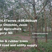 Land for Sale (Open category title) @ Mukim Chinchin, Jasin, Melaka