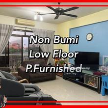 Low floor / furnished / non bumi