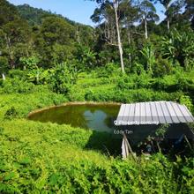Agriculture land , 5.6 acre , durian farm , mantin , lengeng ,beranang