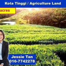 Kota tinggi sedili besar agriculture land for sale